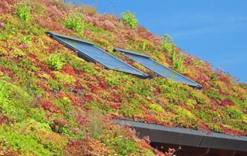Moor Side living roof systems