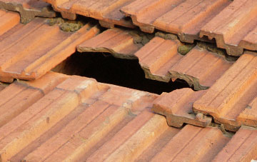 roof repair Moor Side